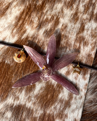 Orchid Keepsakes