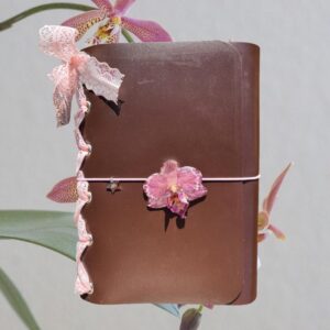 Chocolate corset A5