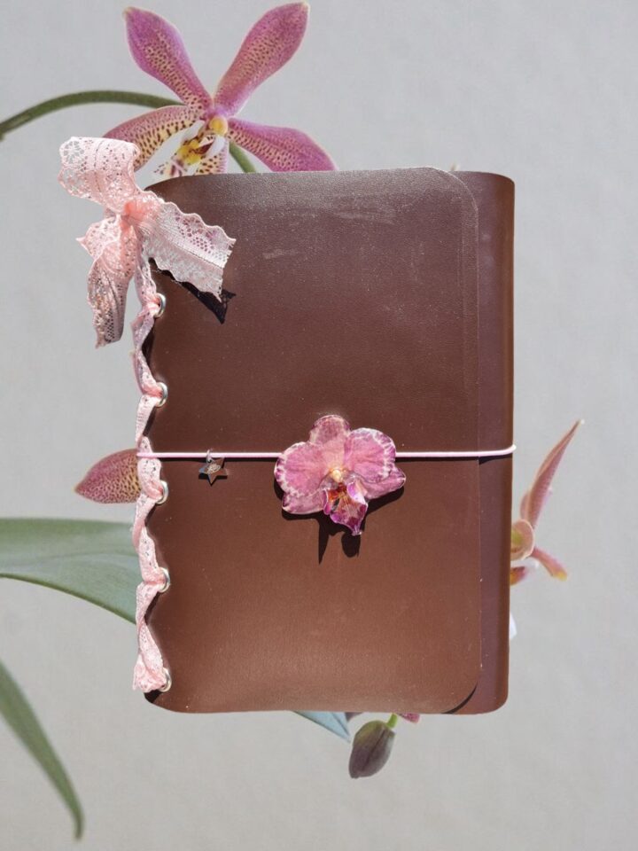 Chocolate corset A5