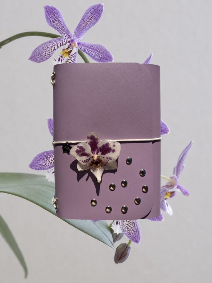 Liliac spiral A6