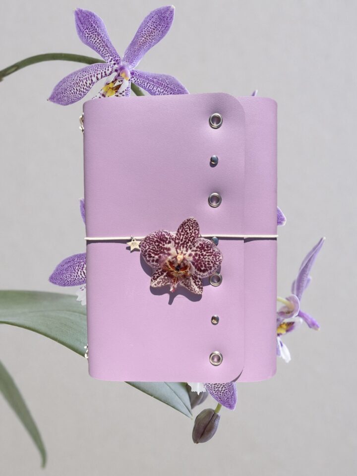 Lavander blossoms A5