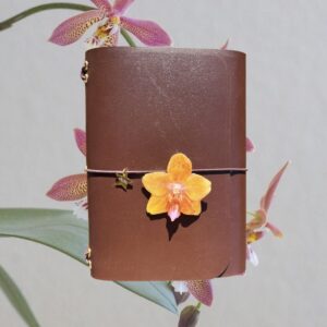 Gold & brown A6