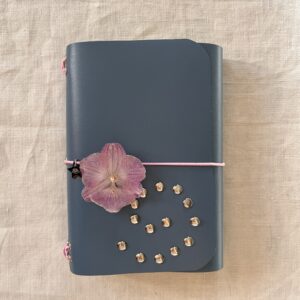 Blueberry spiral A6